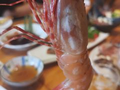 -鲁山人日本料理·放题·套餐(松卫北路店)