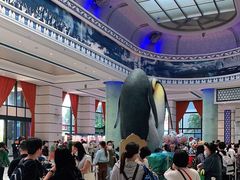 -帝企鹅自助餐厅•儿童岛•真企鹅(长隆企鹅酒店)