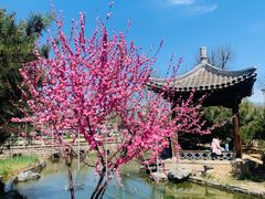 -三里河公园