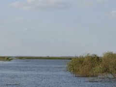 -白渔泡湿地公园