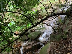 -火炉山森林公园