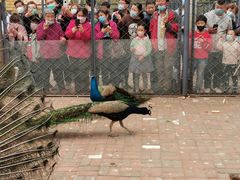 -长白岛森林公园