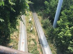 -富斯特索道