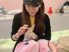 -浣熊柯尔鸭土拨鼠·电玩咖