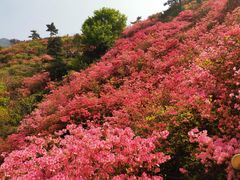 -木兰云雾山