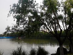 -昆山城市生态森林公园