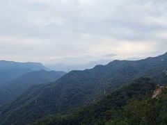 -大岭沟猕猴桃谷风景区