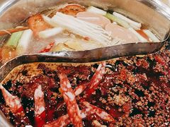 -朱氏胖子烂火锅(洪崖洞店)