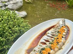 -耕渔小院·湖南鱼鲜(望城店)