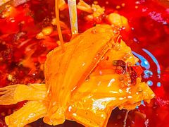-耗儿鱼蛙蛙叫·老成都火锅(蛇口海昌街店)