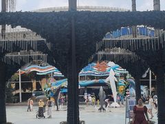 -海合安成都极地海洋公园