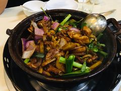-胡须佬鸡煲四季火锅(龙珠大道店)