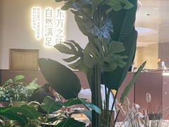 -满记甜品(北京东坝万达店)
