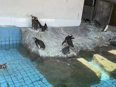 -上海野生动物园