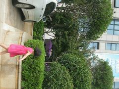 android_upload_pic-新华书店(学府大道店)