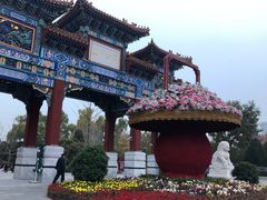 -迎泽公园