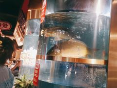 -蜀滋香鲜鱼美蛙火锅(339店)