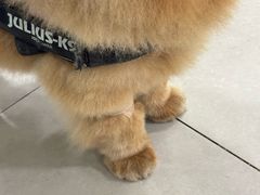 -佳雯宠物医院·皮肤科·内外科(春晓路分院)