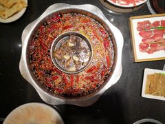 -一斗火锅·招财羊毛肚(泰吉滨江店)