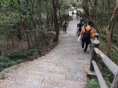 -紫金山山顶公园