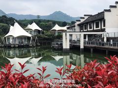 -帐篷客·溪龙茶谷度假酒店