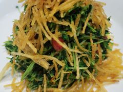 巧拌豆苗-四季民福烤鸭店(王府井灯市口店)