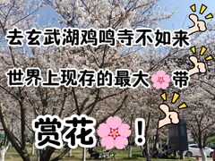 -幕燕滨江·长江观音景区