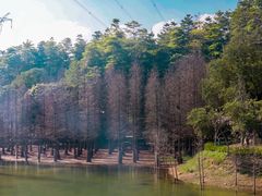 -广州市帽峰山景区