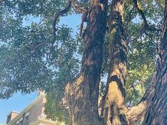 -上海安亭别墅花园酒店