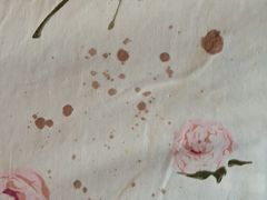 -爱侣宠医·鹦鹉专科·小型哺乳类·异宠专科(灵石路店)