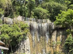 -西双版纳原始森林公园