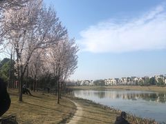 -两河城市森林公园
