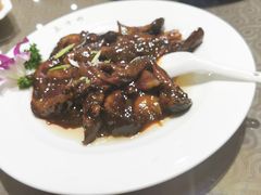 葱烧海参-泰丰楼(前门西大街店)