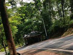 -火炉山森林公园