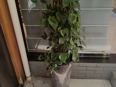 -阿伟海鲜楼·福建菜(涵江店)