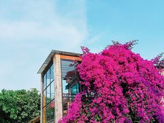 -三圣花乡旅游区