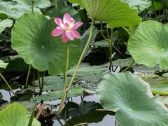 -长春市南湖公园