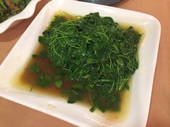 -新南华大酒店(广中店)