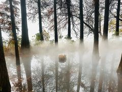 -东湖落雁景区