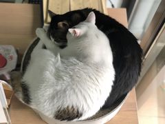 -青沐画室·专业美术培训