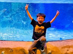 -沈阳海洋探索中心