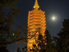 -西海子公园