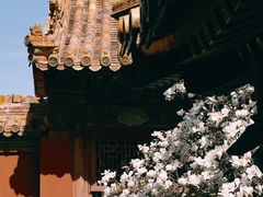 -故宫博物院(故宫)