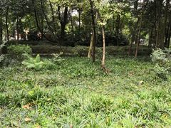-成都市活水公园