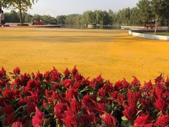 -西安浐灞国家湿地公园