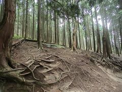 -含鄱口