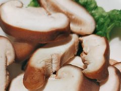 -蒙都43°9羊火锅·赤峰美食(宁城店)