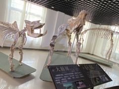 -自然谷恐龙园