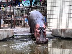 -昆明动物园