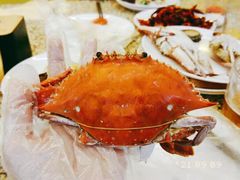 -禾斗海鲜自助(市南银座店)